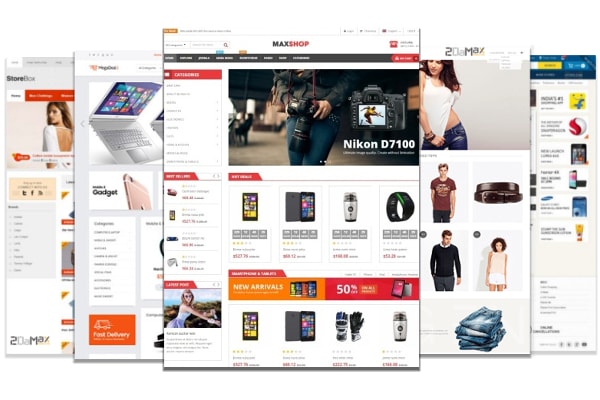 What Is Website Design? 11 2DaMax Marketing Ecommerce Websites